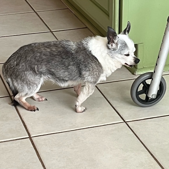 Meet your Posher, Lise - Picture 3 of 7